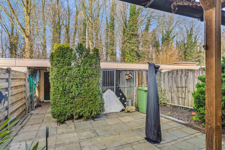 Foto 28 van Boekweitveld 74