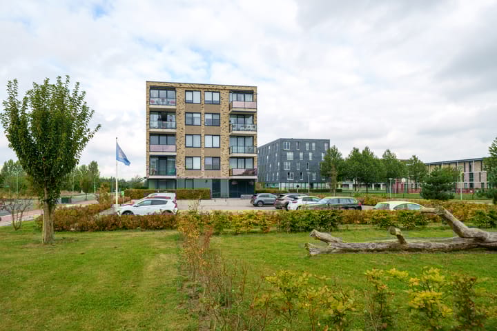 Foto 31 van Grootzeil 204