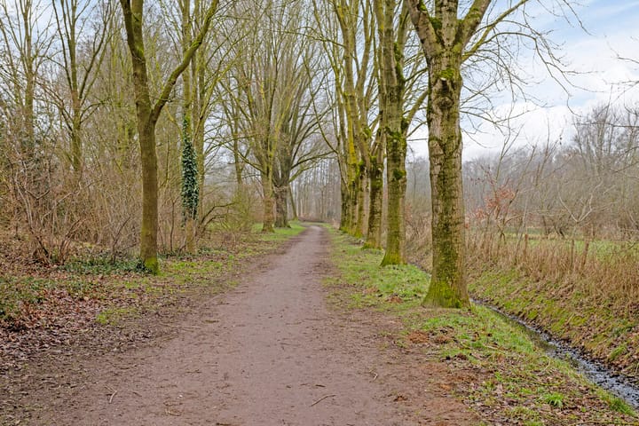 Foto 28 van Basstraat 126