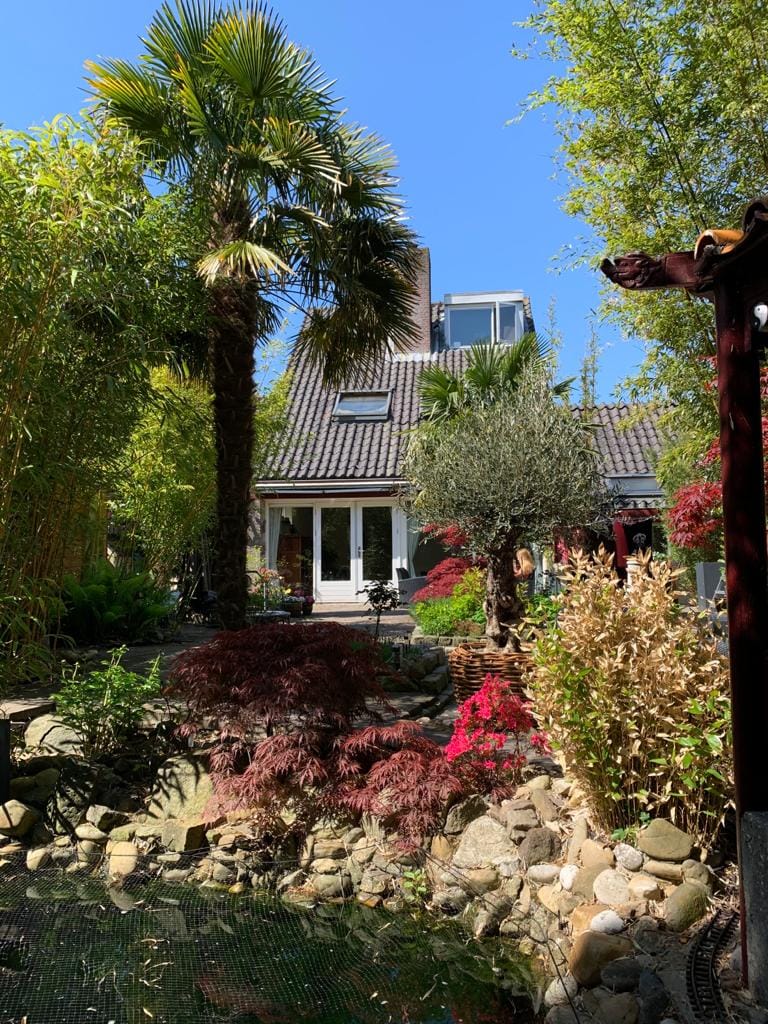 Foto 39 van Kosterstuin 84