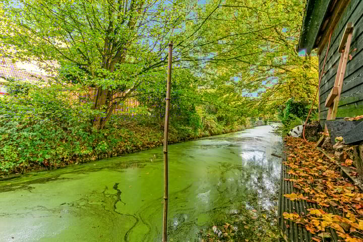 Photo 37 of Kosterstuin 84