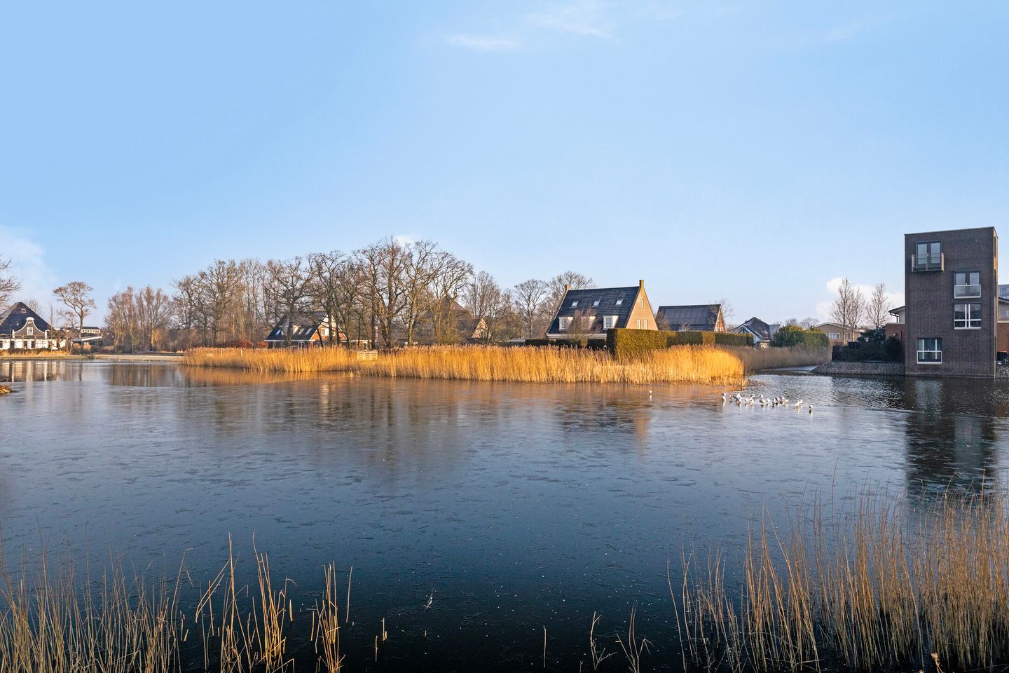 Foto 40 van Tuin van Ozon 4