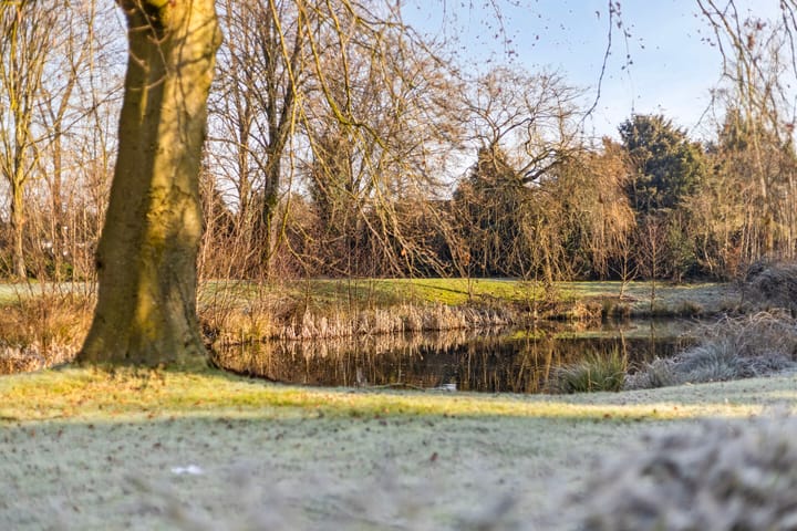 Foto 39 van Hakhorst 7