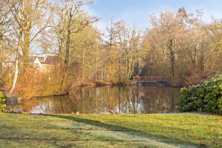 Foto 41 van Hakhorst 7