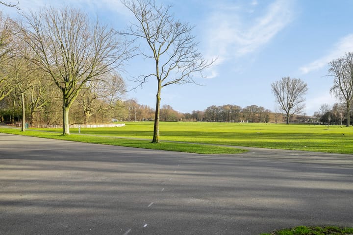 Foto 35 van Loenensestraat 69