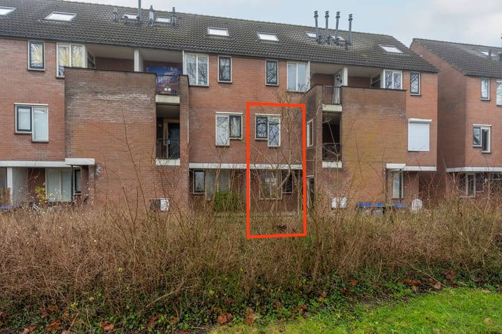 Foto 8 van Druivegaarde 21