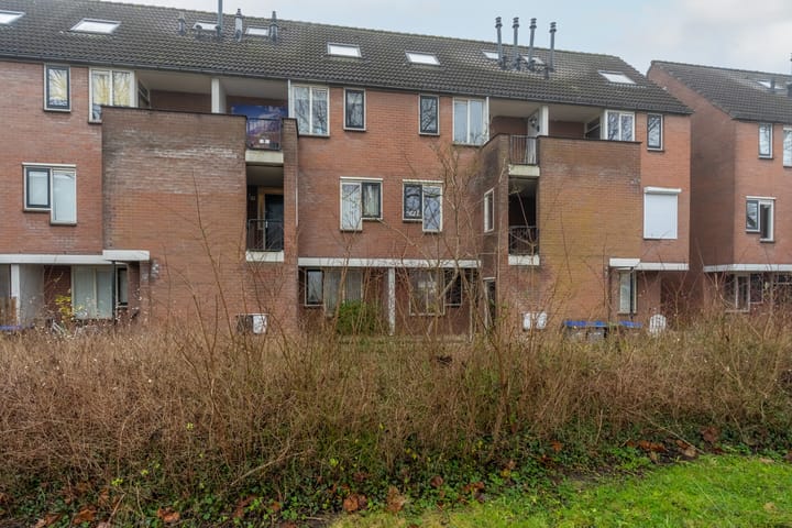 Foto 7 van Druivegaarde 21