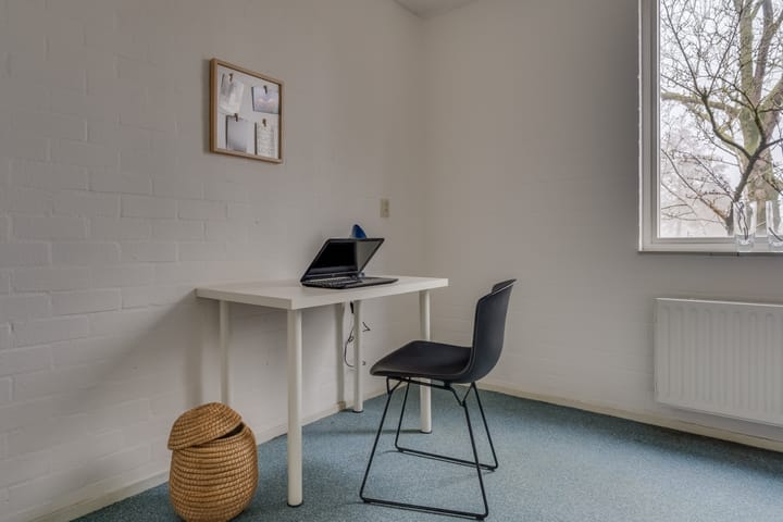 Foto 25 van Druivegaarde 21