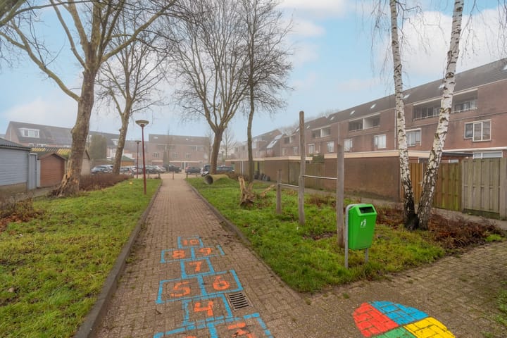 Foto 33 van Druivegaarde 21