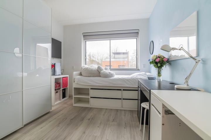 Foto 50 van Mohammed Roemhof 3