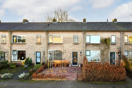 undefined main image