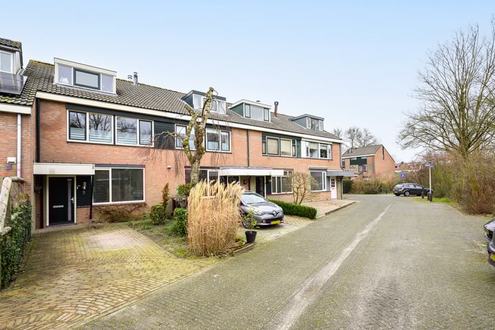 Bekijk foto van Edelhert 9