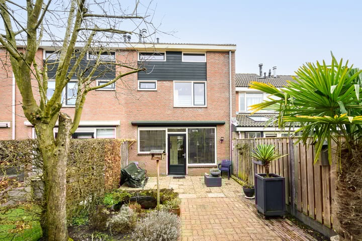 Foto 11 van Edelhert 9