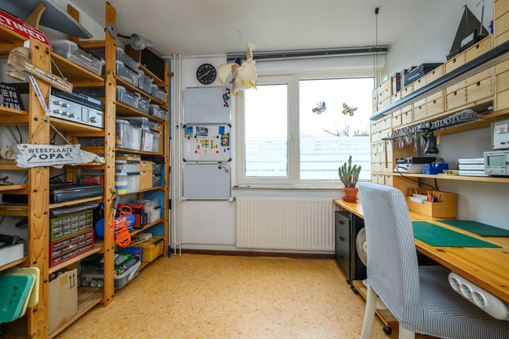 Foto 24 van Edelhert 9