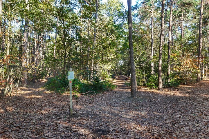 Foto 51 van Koninginneweg 4