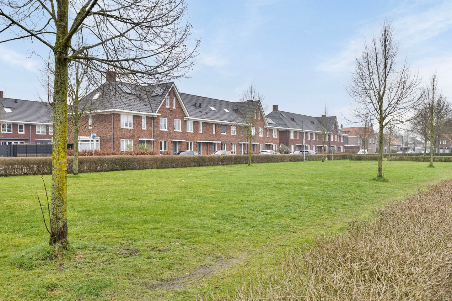 Foto 5 van Felix Timmermansstraat 4