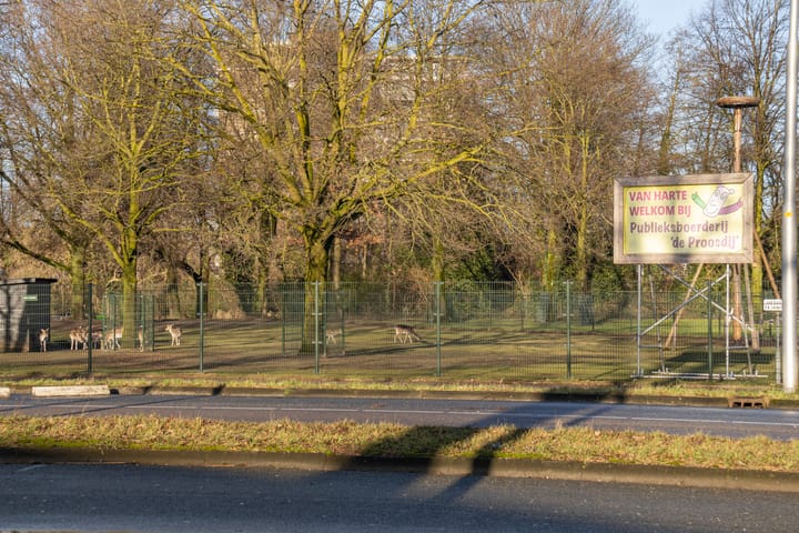 Foto 24 van Ranonkellaan 56