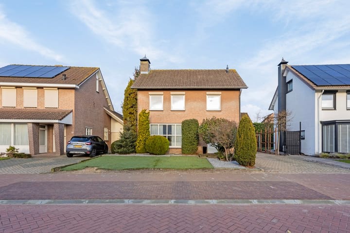 undefined main image