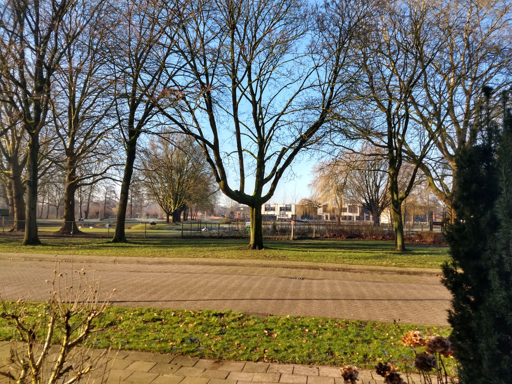 Foto 12 van Wentholtstraat 63