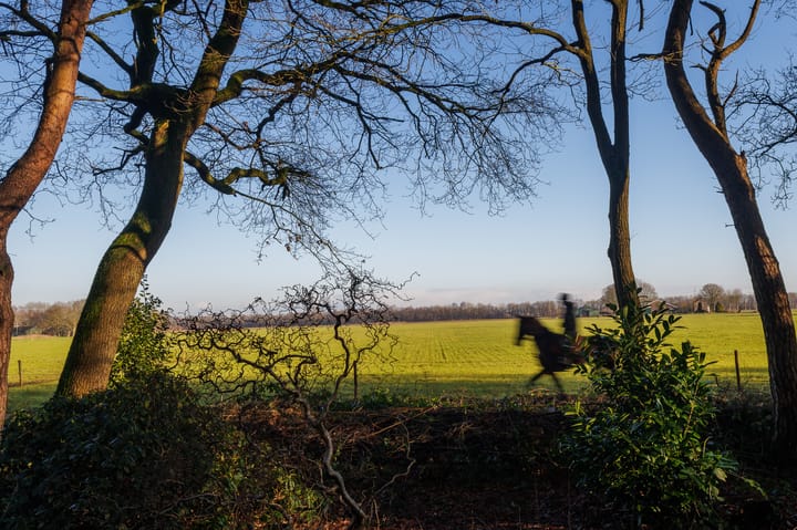 Photo 11 of Boerenweg 16