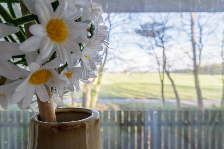 Photo 44 of Boerenweg 16