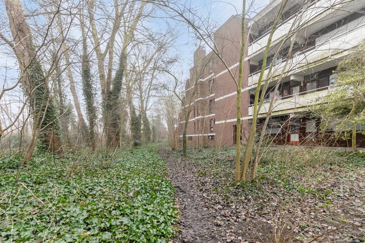 Foto 34 van Groenhof 180