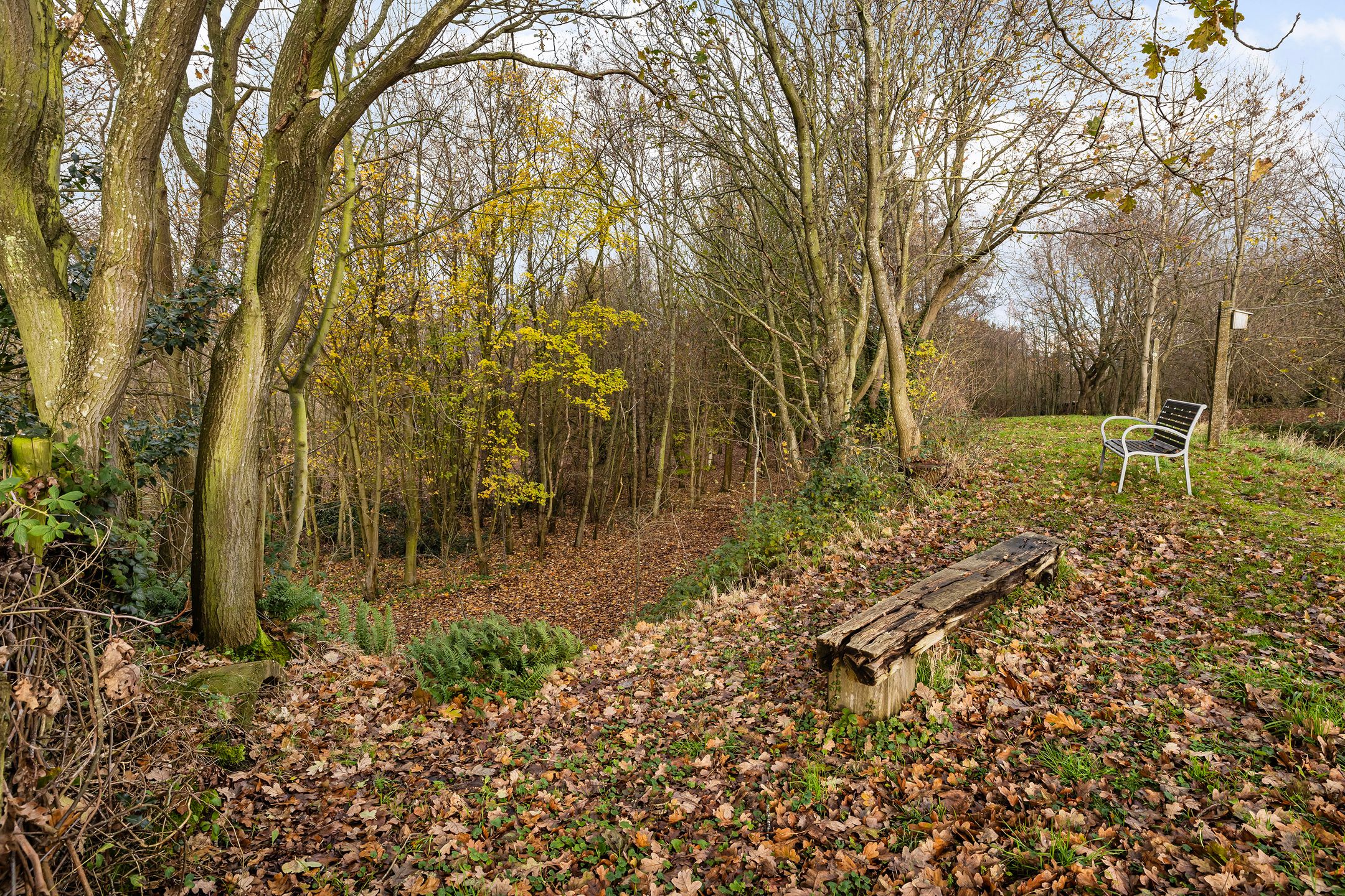 Photo 36 of Dorpsweg 50