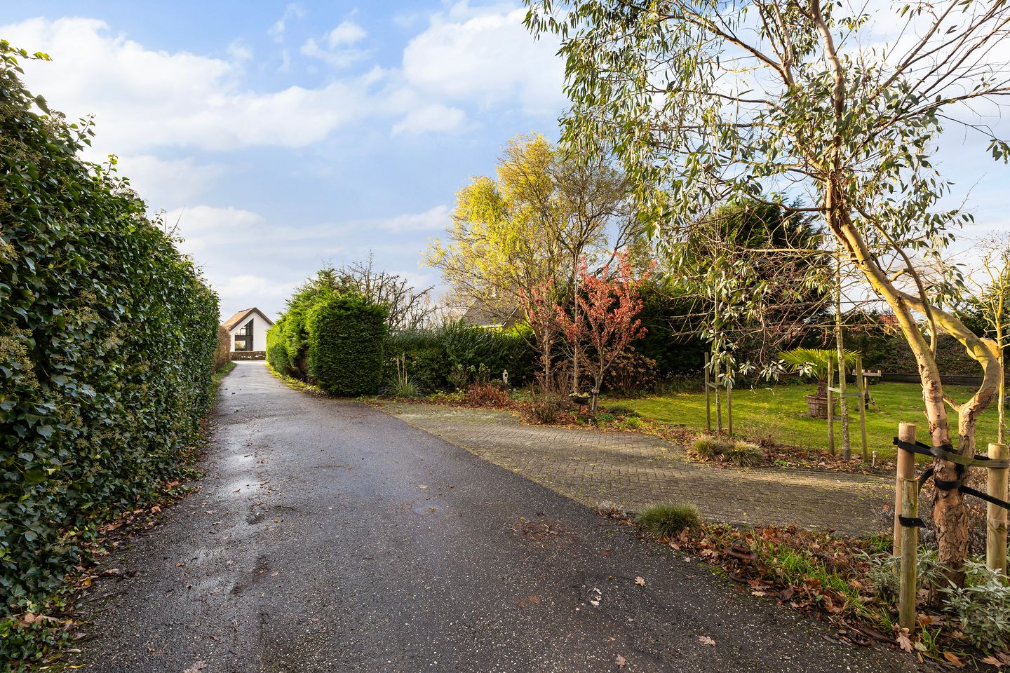Photo 40 of Dorpsweg 50