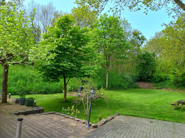 Foto 50 van Dorpsweg 50