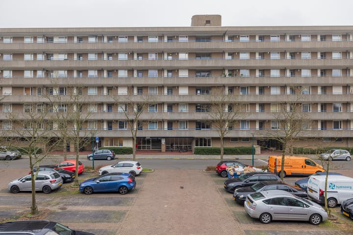 Foto 1 van Aert van Neslaan 538