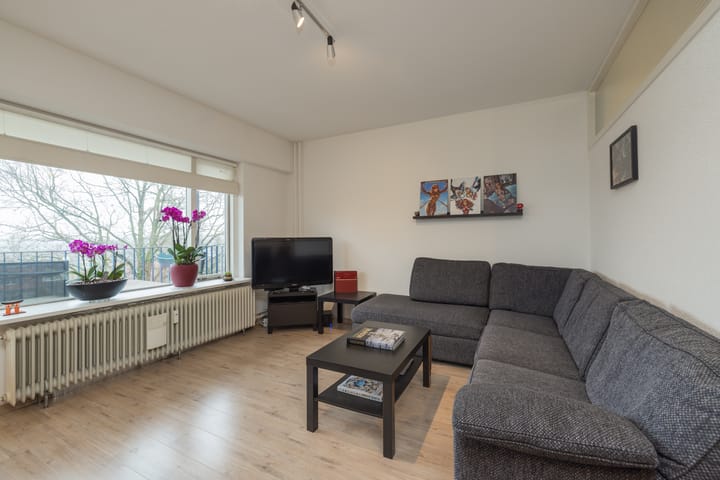 Foto 19 van Aert van Neslaan 538