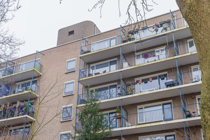 Foto 30 van Aert van Neslaan 538