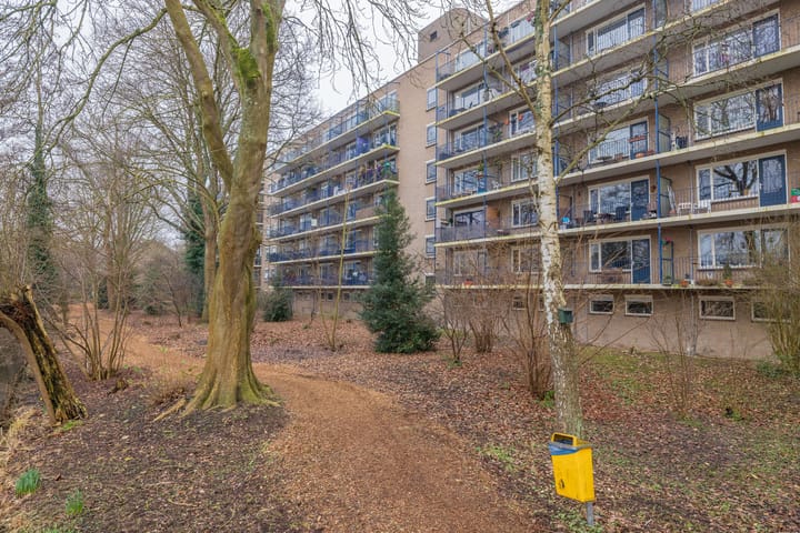 Foto 31 van Aert van Neslaan 538