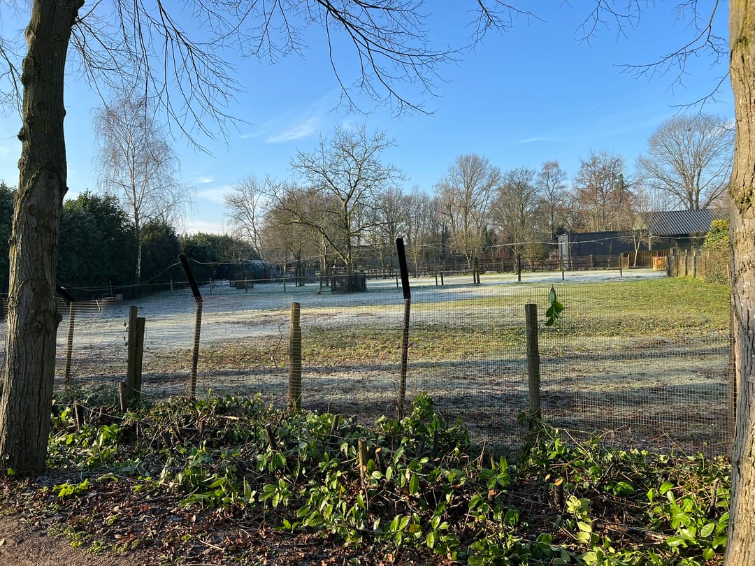 Foto 1 van Dodenhoeksestraat