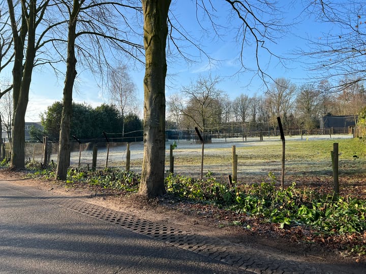 Foto 2 van Dodenhoeksestraat