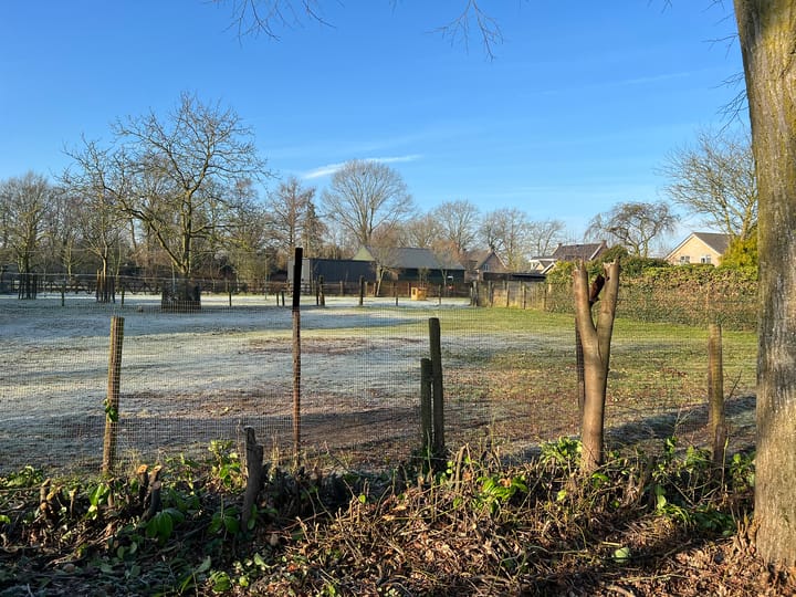 Foto 3 van Dodenhoeksestraat