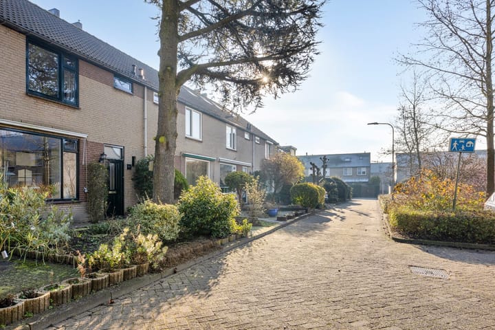 Foto 20 van Dokter Schöyerstraat 167