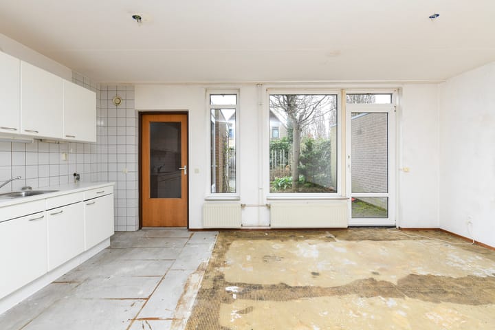 Foto 6 van Havikskruid 99