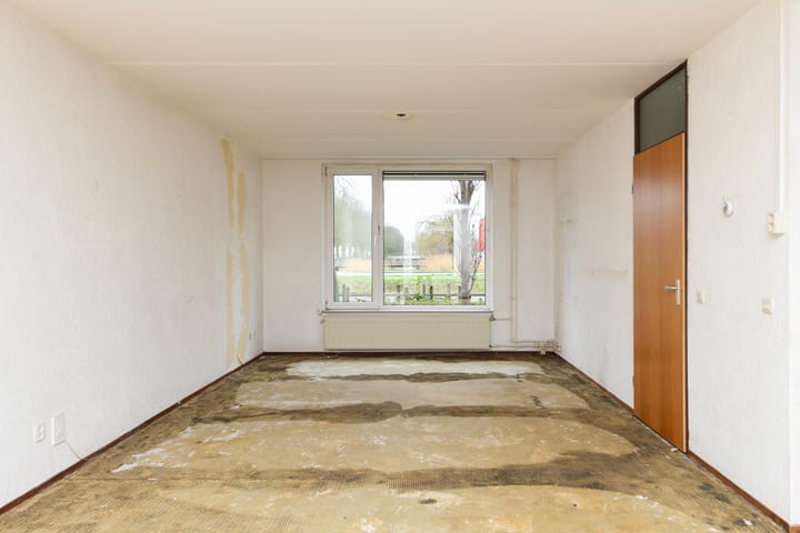 Foto 7 van Havikskruid 99