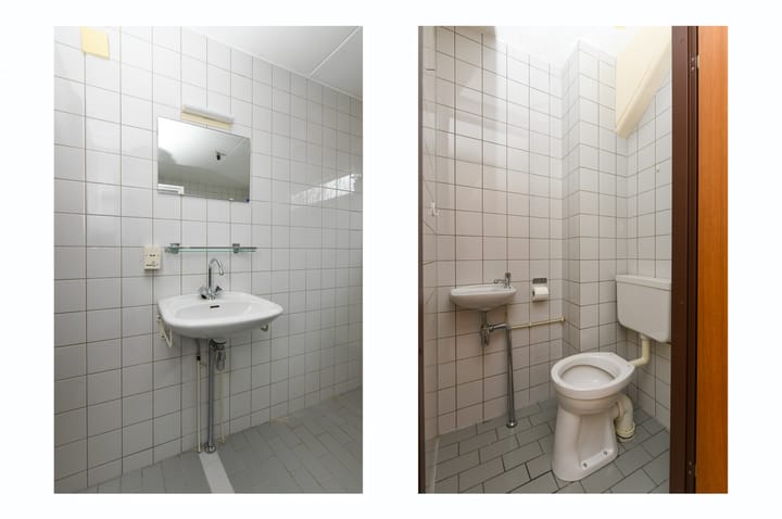 Foto 9 van Havikskruid 99