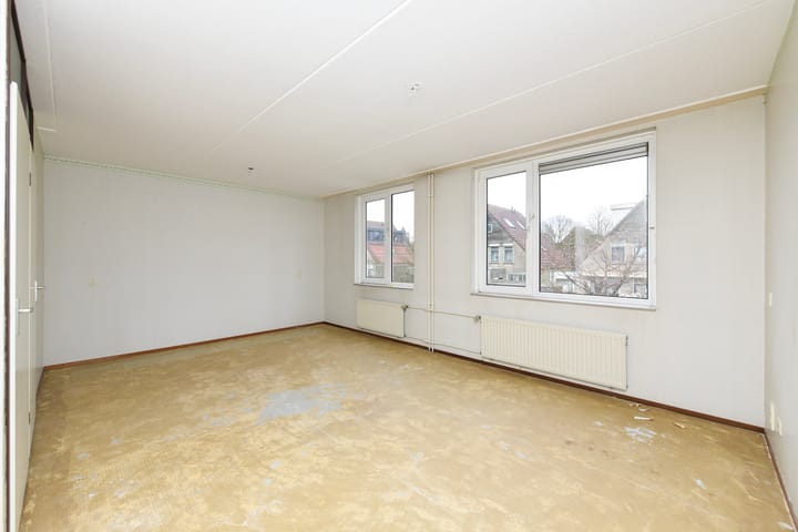 Foto 10 van Havikskruid 99