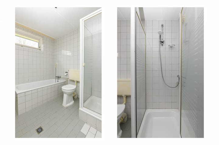 Foto 13 van Havikskruid 99