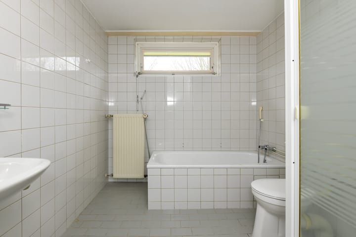 Foto 15 van Havikskruid 99