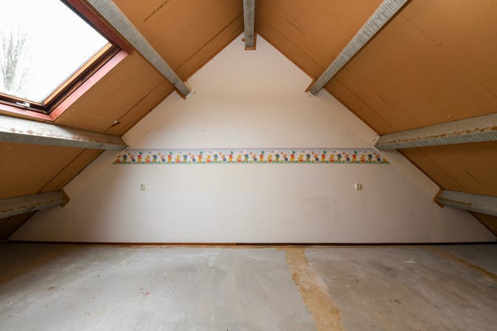 Photo 17 of Havikskruid 99