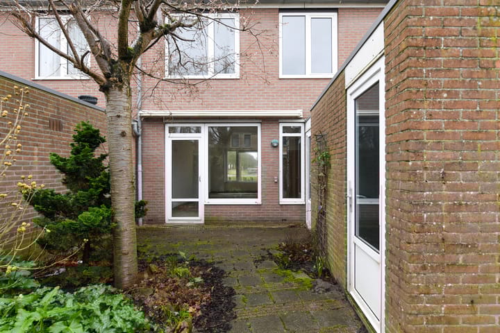 Foto 20 van Havikskruid 99