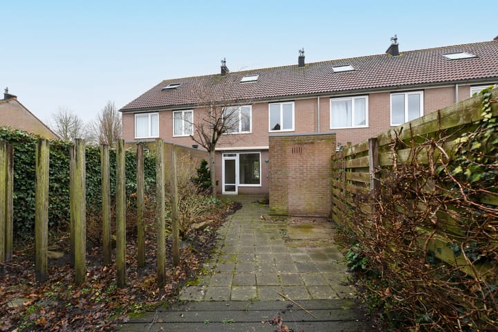 Foto 21 van Havikskruid 99