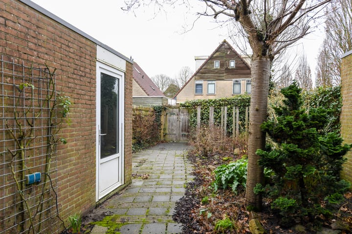 Foto 22 van Havikskruid 99