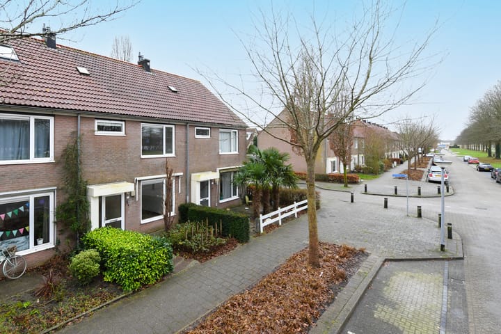 Foto 23 van Havikskruid 99