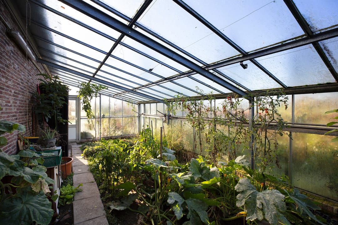 Foto 56 van Houtdijk 14