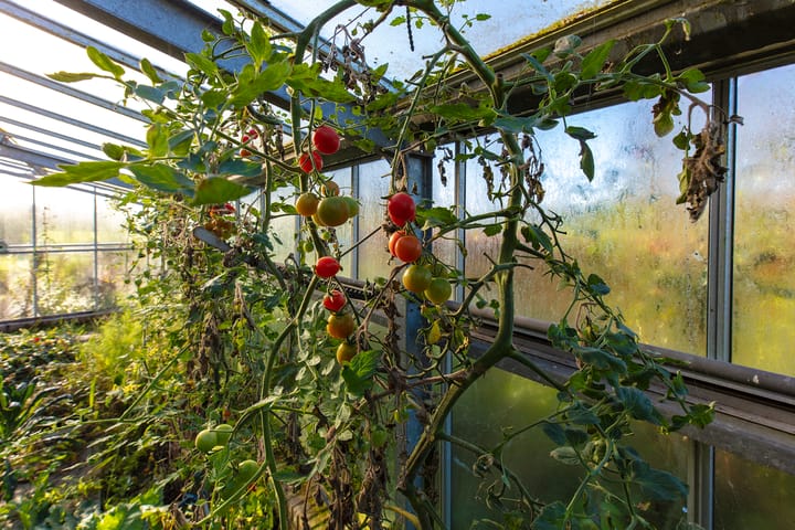 Foto 57 van Houtdijk 14